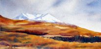 Mt Ruapehu Tussock Country by Sue Graham
